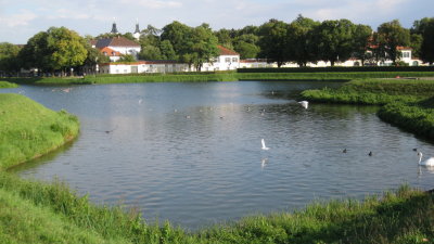 IMG_3008.jpg