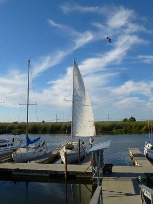 g9/79/201179/3/150799010.7919XLiP.jpg