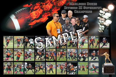 D3_Champs_flt.jpg