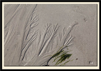 Patterns in the Sand