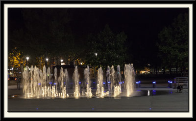 Fountain with Dog