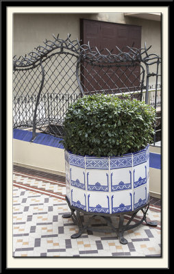 Planter in the Courtyard