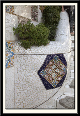 Mosaic and Plants