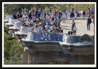 The Amazing Park Benches