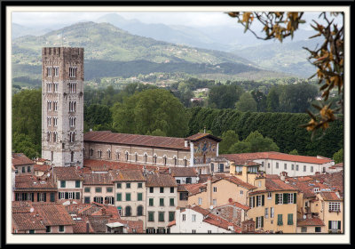 Basilica di San Frediano and Beyond