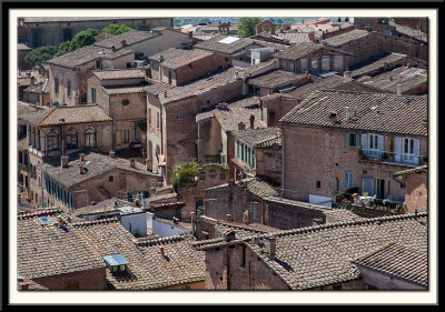 Roof Tops