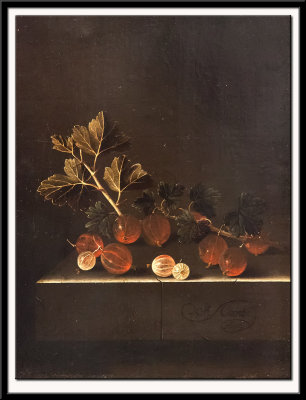A Sprig of Gooseberries on a Stone Plinth, 1699