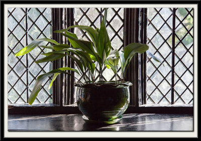 Green Pot and Glass