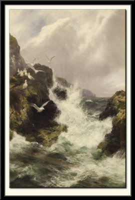 The Sea-Birds' Domain, 1902