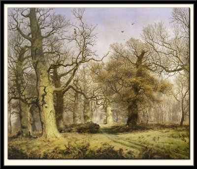Oak Trees in Sherwood Forest, 1877