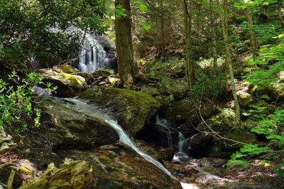 waterfall on tributary of Little East Fork Pigeon River 