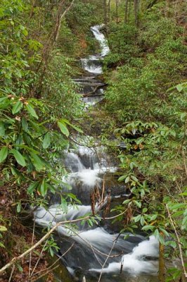 waterfall on Long Branch 1