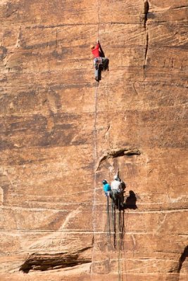 Zion NP 16