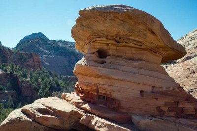 Zion NP 58