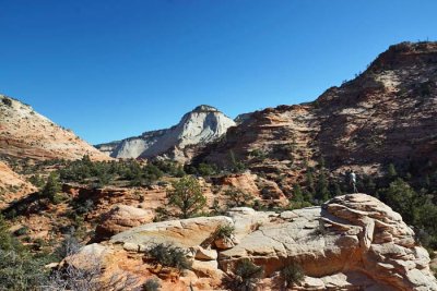 Zion NP 59