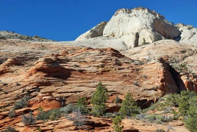 Zion NP 60