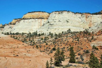 Zion NP 63