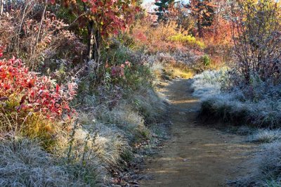 Graveyard Fields Trail 4