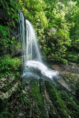 Saxifrage Falls 2