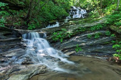 Fungi Falls 1