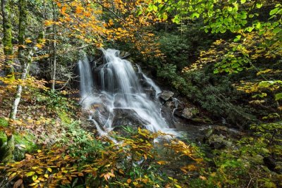 Herrin Knob Falls 3