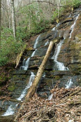 Little Creek Falls 3