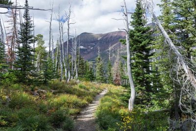 Glacier National Park 45