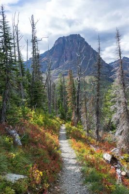 Glacier National Park 46