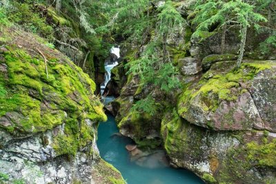 Glacier National Park 116