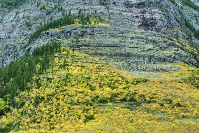 Glacier National Park 130