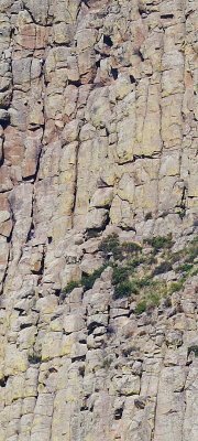 Devils Tower close-up