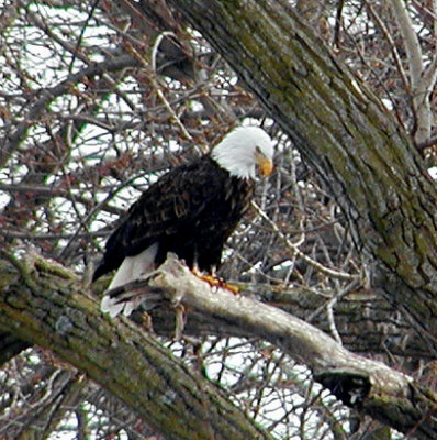 P1251772 i.jpg