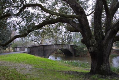 Bridge in Audubon Park