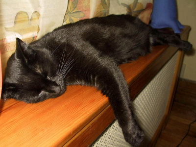 Sur le radiateur