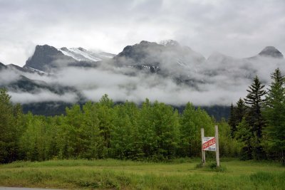 DSC_0145.jpg