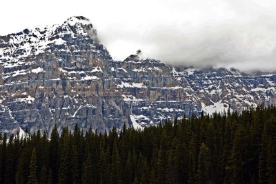 DSC_0400.jpg