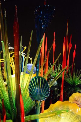 DSC_3060.jpg