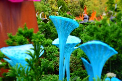 DSC_3145.jpg