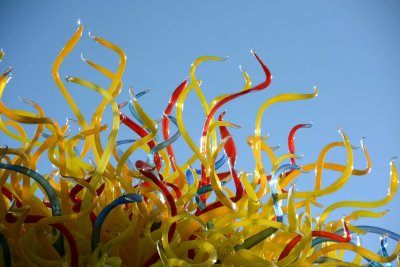 DSC_3273.jpg