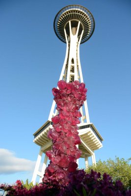 DSC_3296.jpg