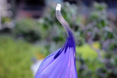 DSC_3360.jpg