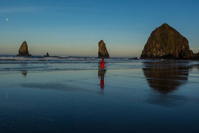 DSC_5346.jpg