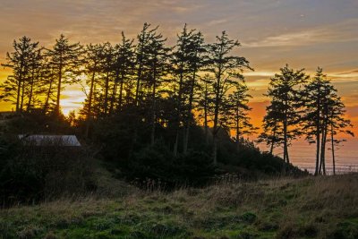 DSC_6085.jpg