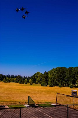 DSC_6751.jpg