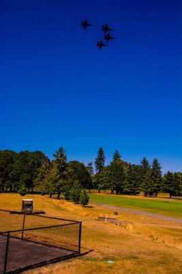 DSC_6752.jpg
