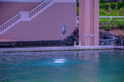 DSC_3254.jpg