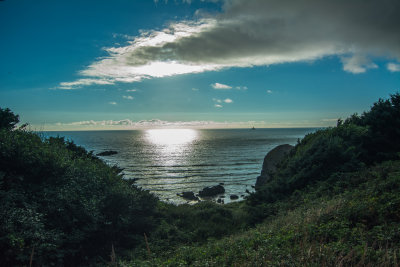 DSC_3989.jpg