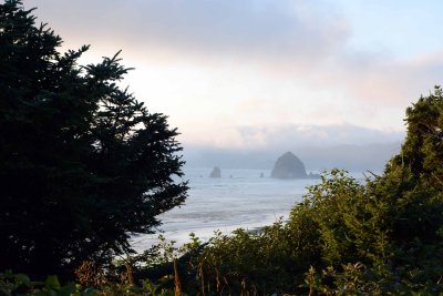 DSC_8207.jpg