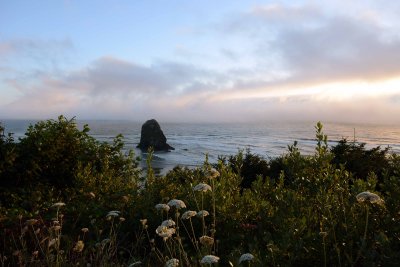 DSC_8208.jpg