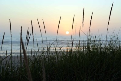 DSC_8232.jpg